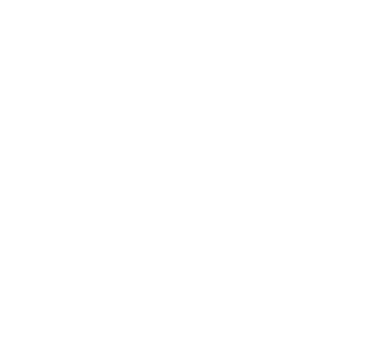 White decorative element graphic